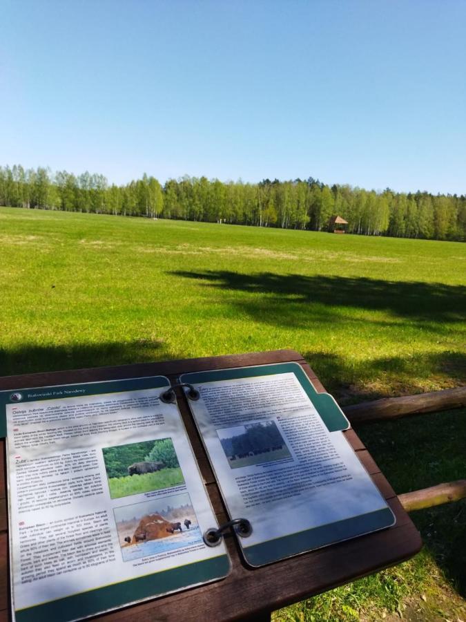 Białowieża Przy Lesieヴィラ エクステリア 写真